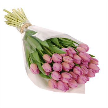 Стандартный букет розовых тюльпанов