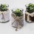 Каланхоэ Bont Merry Xmas Glass+Kalanchoe