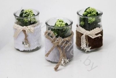 Каланхоэ Bont Merry Xmas Glass+Kalanchoe