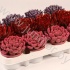 Суккулент Rainbowmix 954 Суккулент Rainbowmix 954