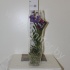 Ванда Orchidee Vanda H. In Zandloper Glass Ванда Orchidee Vanda H. In Zandloper Glass