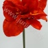 Амарилис Amarryllis Ferrari Амарилис Amarryllis Ferrari