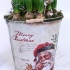 Гиацинт Bucket Santa28cm+Hyacint Гиацинт Bucket Santa28cm+Hyacint