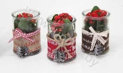 Каланхоэ Jute Merry Christmasglass+Kalanchoe