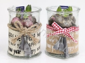 Гиацинт Jute Happy New Year+Hyacint