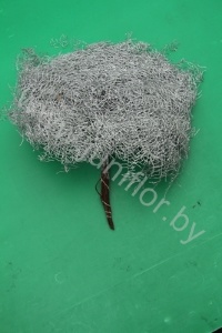 Корал Ферн Сильвер Gr Koraal p Silver