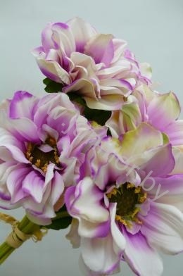 Георгин Dahlia Dianas Memory