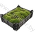 Мох Банмос Gr Moss Bunmos Мох Банмос Gr Moss Bunmos