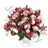 Фуксия Fuchisia Hybrids Aroyo Grande Фуксия Fuchisia Hybrids Aroyo Grande