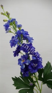 Дельфиниум Delphinium Aj Larkspur Blue