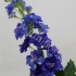 Дельфиниум Delphinium Aj Larkspur Blue