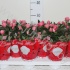 Роза Beaumonde Roze Роза Beaumonde Roze