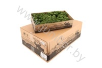 Мох Стабилизированный Зеленый Gr Moss Island Moss Green