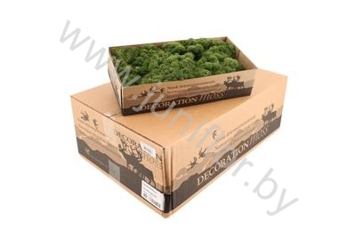 Мох Стабилизированный Зеленый Gr Moss Island Moss Green