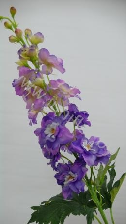 Дельфиниум Delphinium Lila