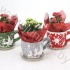 Каланхоэ Cup Rendier Groen_Rood_Grijs+Kalanchoe