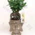 Фикус Ficus Ginseng 300gr In Boeddha Pot Фикус Ficus Ginseng 300gr In Boeddha Pot