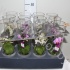 Фаленопсис Phal Mini In Frosted Glass Фаленопсис Phal Mini In Frosted Glass