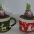 Гиацинт Cup Rendier Groen_Rood12+Hyacint