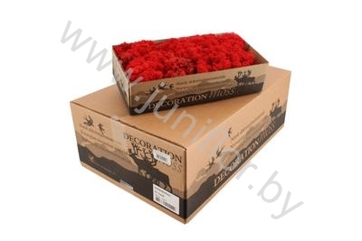 Мох Стабилизированный Красный Gr Moss Island Red