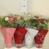 Антуриум Mix In SeasonHoes