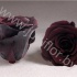 Стабилизированная роза Rose pr CHO01 Стабилизированная роза Rose pr CHO01