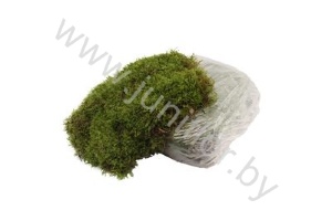 Мох Платмос Gr Moss Platmos in bag