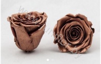 Стабилизированная роза Rose pr Copper