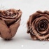 Стабилизированная роза Rose pr Copper Стабилизированная роза Rose pr Copper
