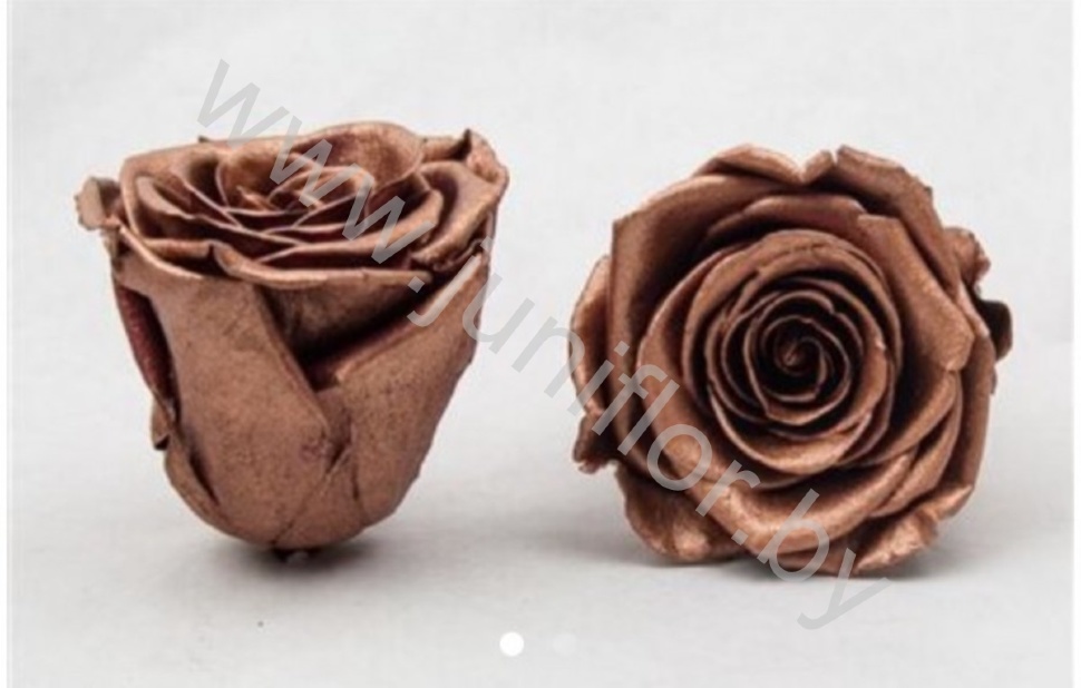 Стабилизированная роза Rose pr Copper