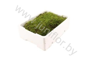 Мох Платмос Gr Moss Platmos