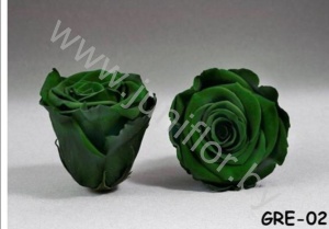 Стабилизированная роза Rose pr GRE02