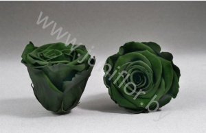 Стабилизированная роза Rose pr GRE03