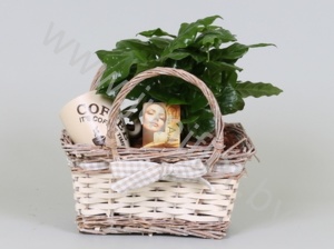 Кофе In Mand+Schors+Mok