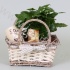 Кофе In Mand+Schors+Mok Кофе In Mand+Schors+Mok