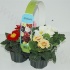 Примула Primula Ac.Grp Gem. In 4-Pack Примула Primula Ac.Grp Gem. In 4-Pack