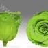 Стабилизированная роза Rose pr GRE05 Стабилизированная роза Rose pr GRE05