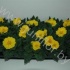 Примула Primula Acaulis Geel Примула Primula Acaulis Geel
