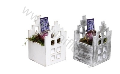 Гиацинт Houten Huis Wit/Grijs+Hyacint