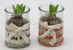 Гиацинт Jute Frohe Weinachten Glass+Hyacint