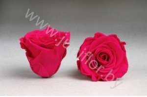 Стабилизированная роза Rose pr PIN03
