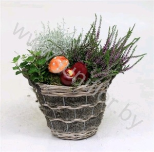 Микс Mand Jute 22cm Met Tuinplanten