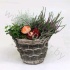 Микс Mand Jute 22cm Met Tuinplanten
