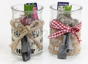 Гиацинт Jute Happy New Year+Hyacint