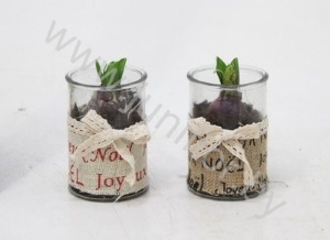 Гиацинт Jute Joyeux Noel Glass+hyacint