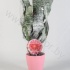 Эхмея Nature's Pride Stone Pot