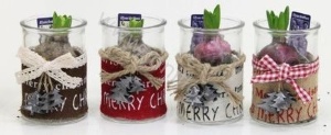 Гиацинт Jute Merry Christmasglass+Hyacint