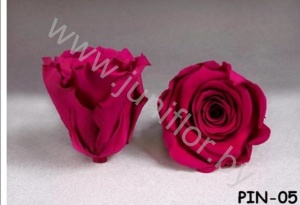 Стабилизированная роза Rose pr PIN05