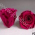 Стабилизированная роза Rose pr PIN05