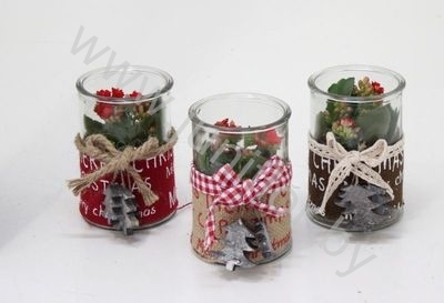 Каланхоэ Jute Merry Christmasglass+Kalanchoe